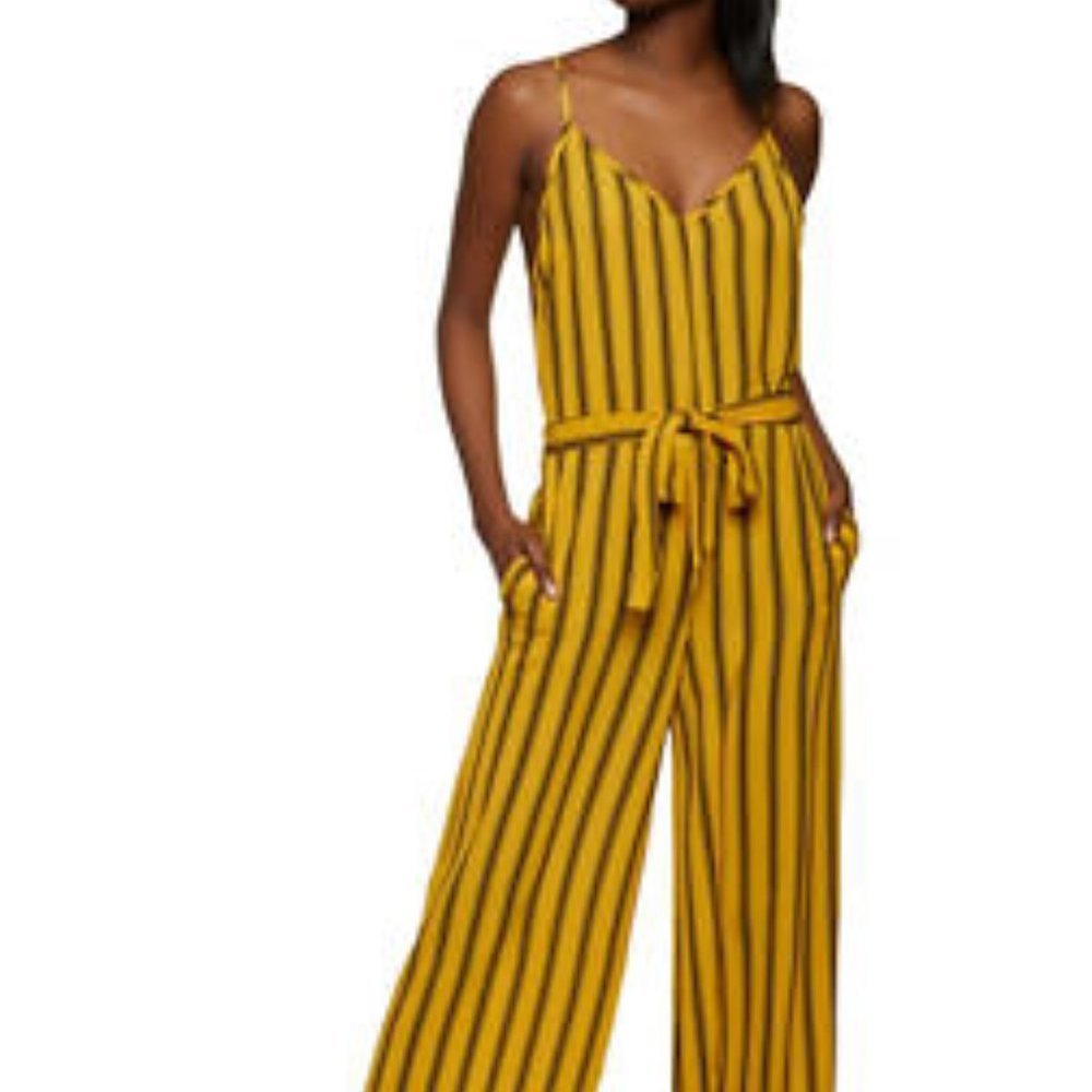 SALE! Striped Crepe Knit Tie Waist Jumpsuit - Picture 1 of 2
